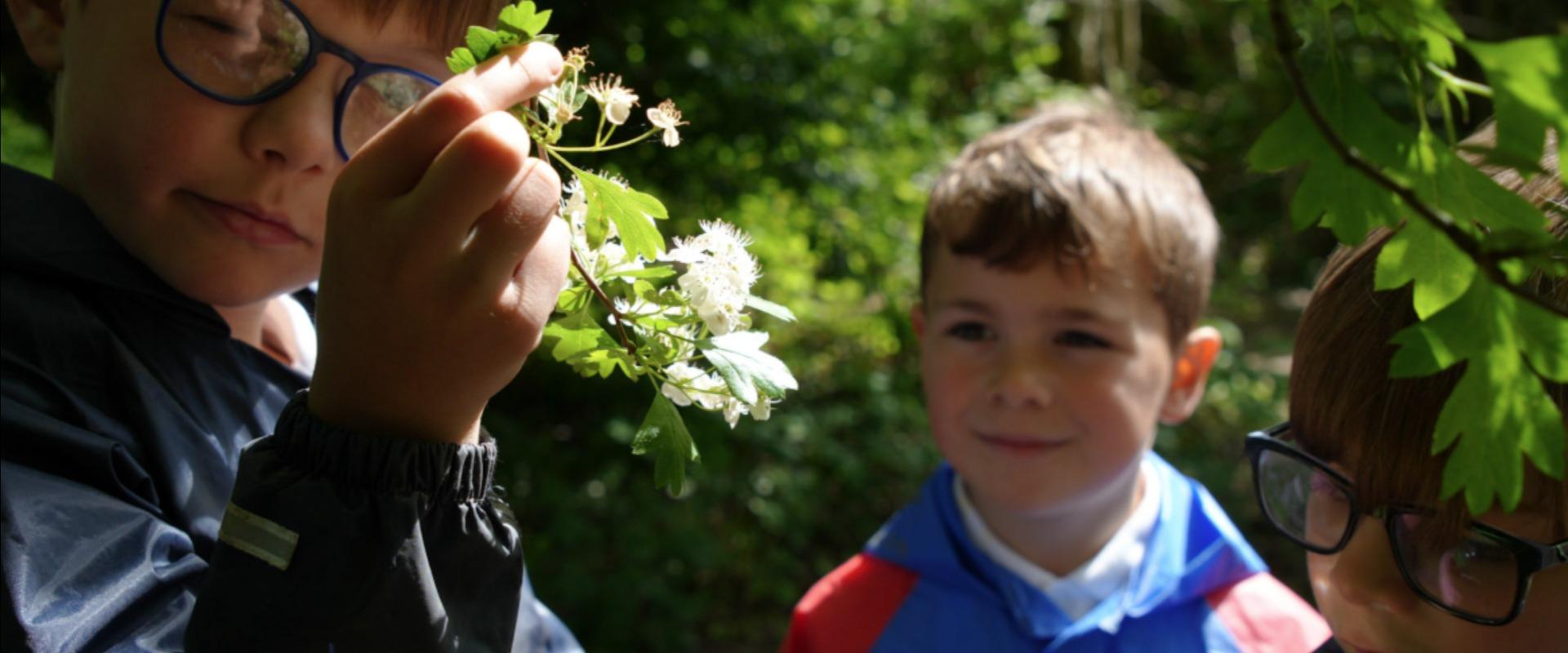 Screenshot 2026-01-23 145451.png