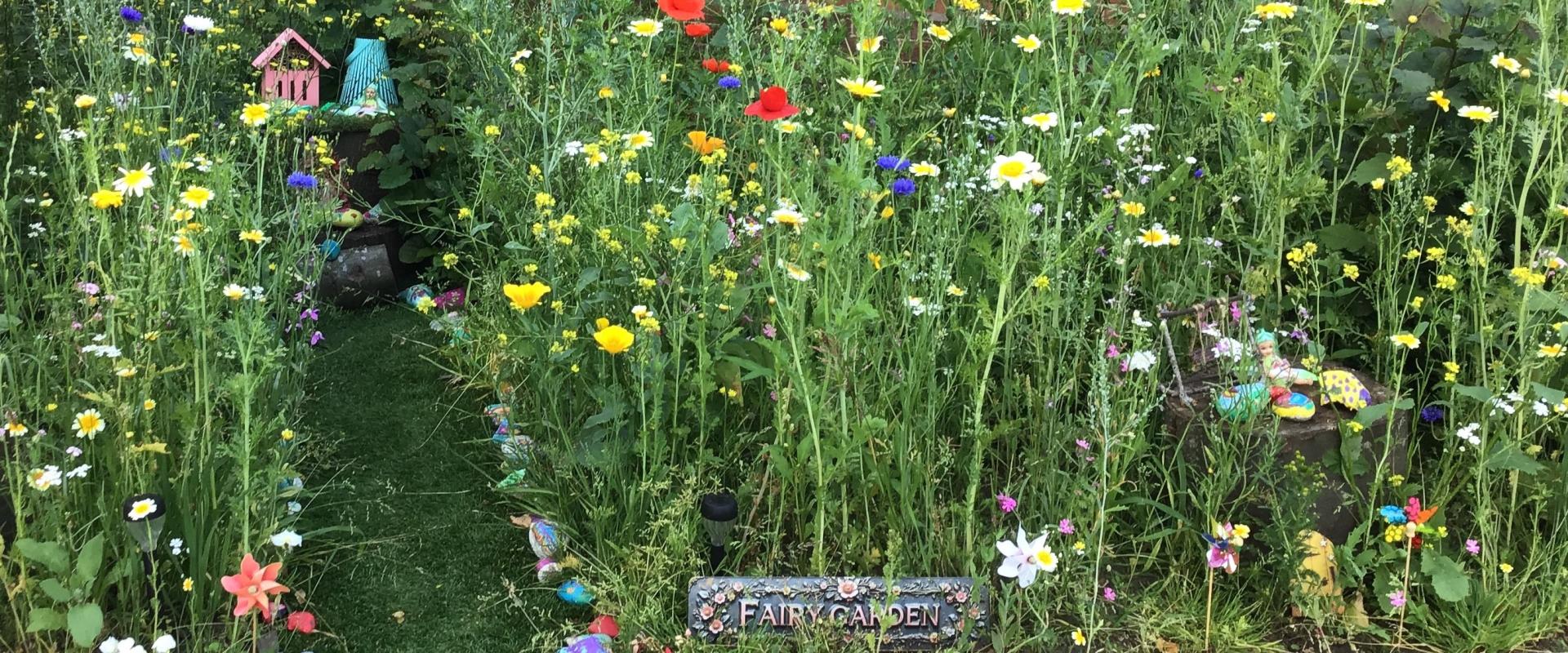 1Fairy Garden.jpg
