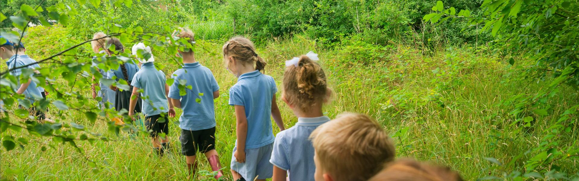 Outdoor learning 1.jpg