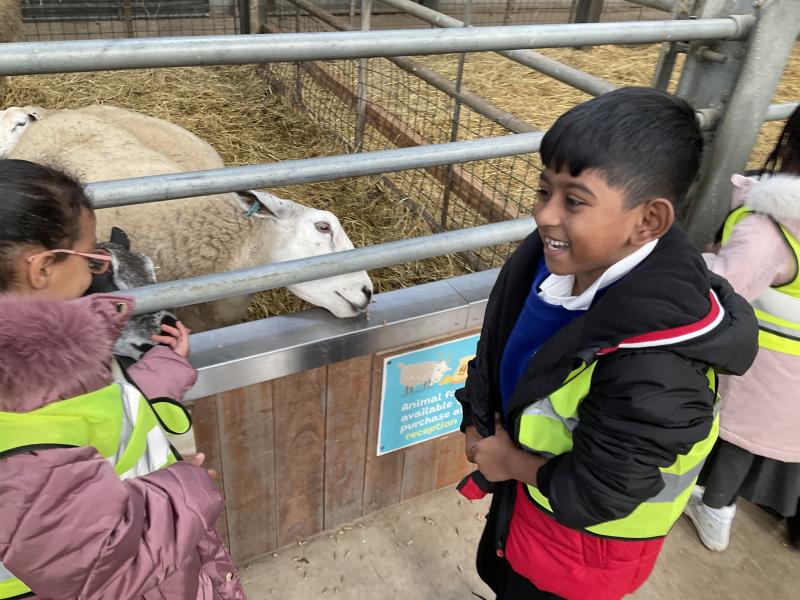 KS1 Trip to Cockfields Farm