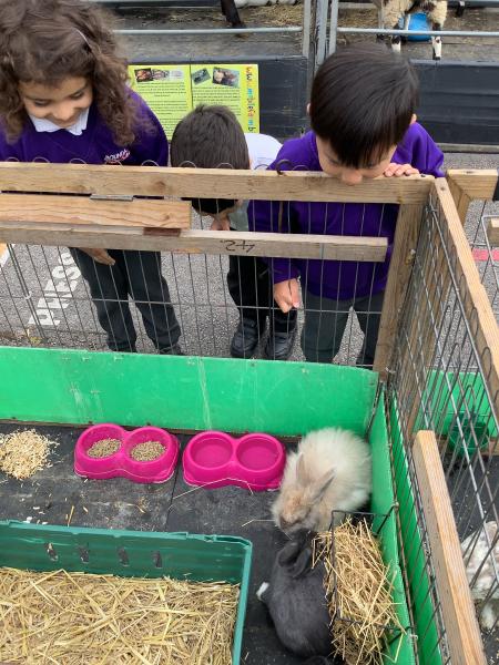 Nursery Down on the Farm