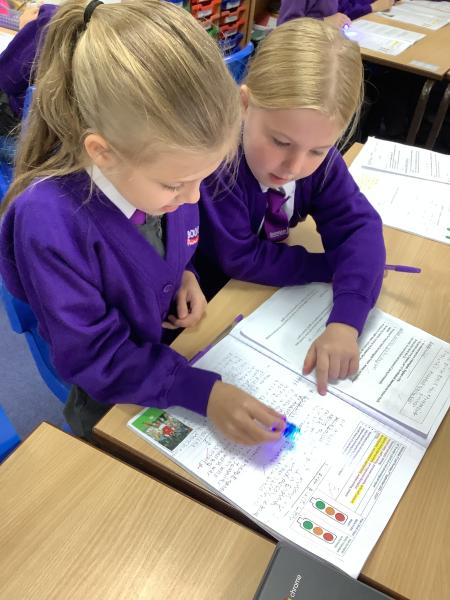 Year 4 - BHM Non-Chronological Reports