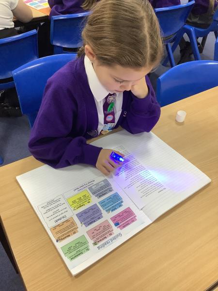 Year 4 - Regular Reading