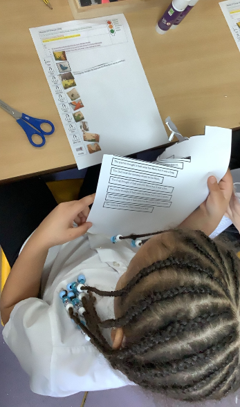 Year 1- Monkey Puzzle