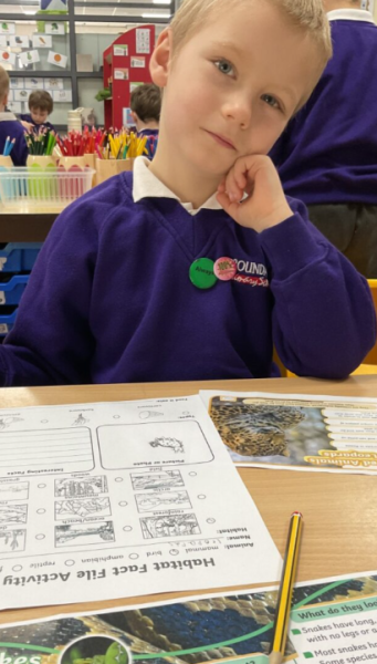 Year 1 Science: Exploring Animals and Their Habitats!