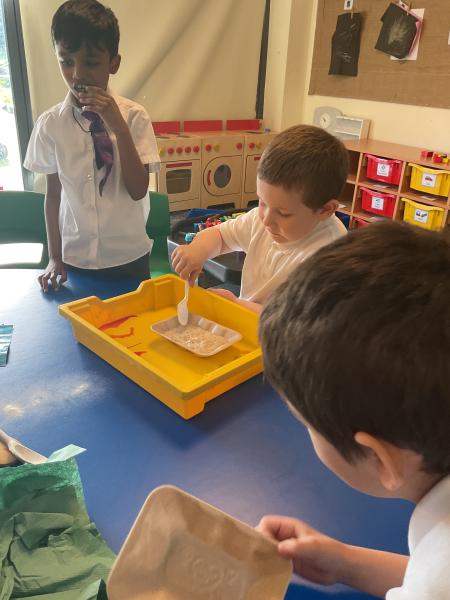 Acorns - science day part 2