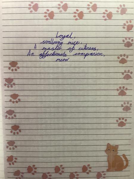 Year 5 - Reading into Writing - Hotwrite