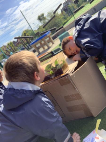 Nursery Go on a Snail Hunt