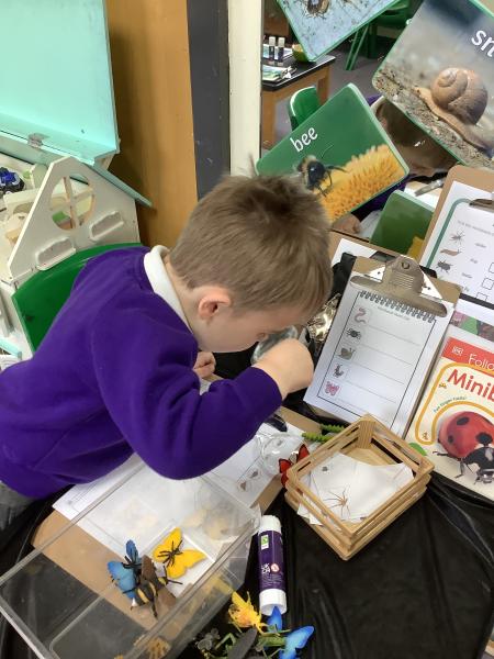 Reception go on a minibeast hunt.