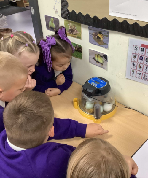 Reception have a special delivery