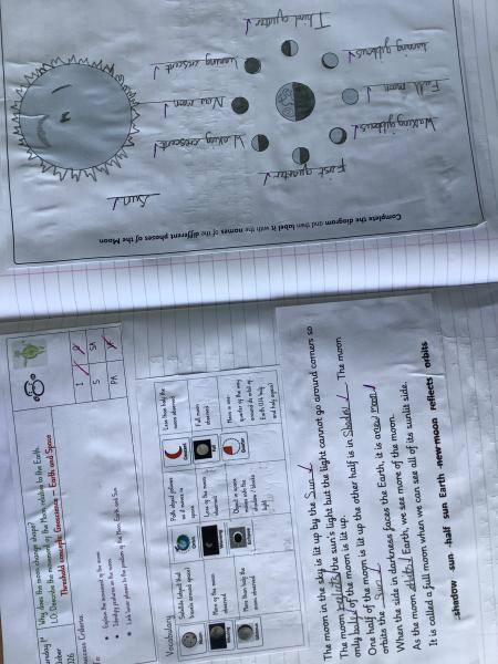 Year 5 - Science