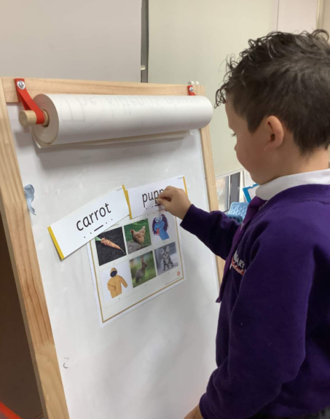 Amazing Phonics!