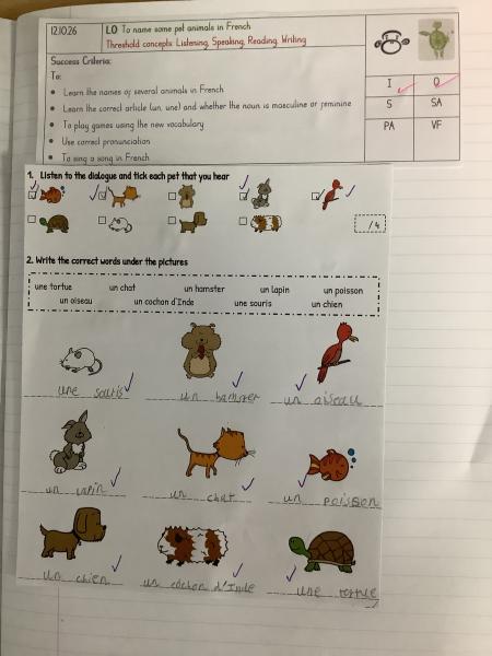 Year 4 - Pets